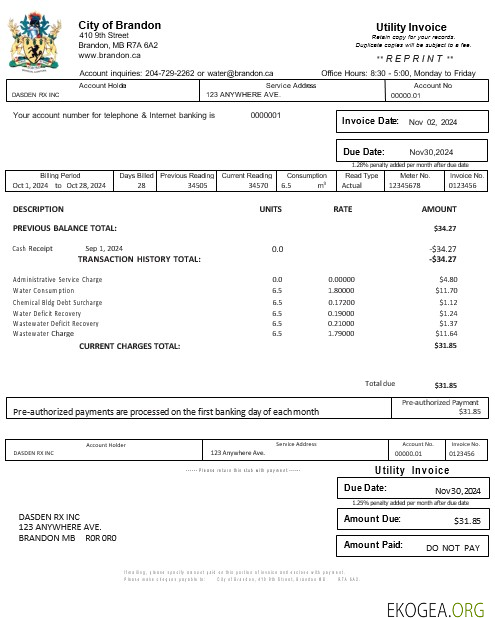 Modèle Word et PDF de facture de services publics des États Unis BRANDON MISSISSIPPI